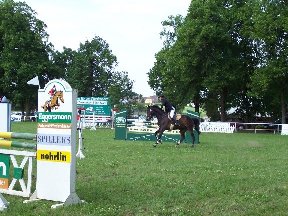 Foto zum Vergrößern bitte anklicken!