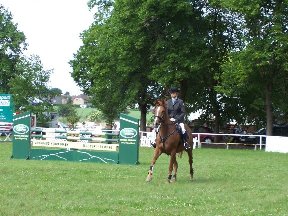 Foto zum Vergrößern bitte anklicken!