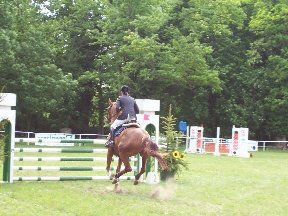 Foto zum Vergrößern bitte anklicken!