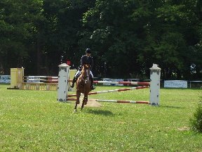 Foto zum Vergrößern bitte anklicken!