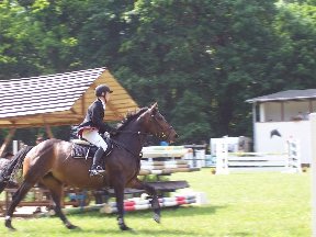 Foto zum Vergrößern bitte anklicken!