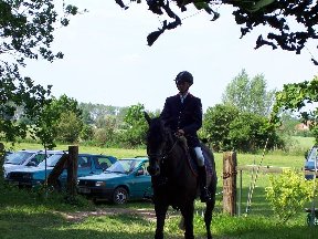 Foto zum Vergrößern bitte anklicken!