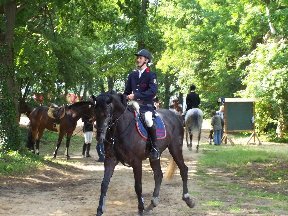 Foto zum Vergrößern bitte anklicken!