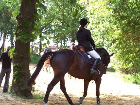 Foto zum Vergrößern bitte anklicken!