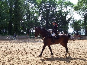 Foto zum Vergrößern bitte anklicken!