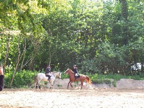 Foto zum Vergrößern bitte anklicken!