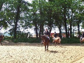 Foto zum Vergrößern bitte anklicken!