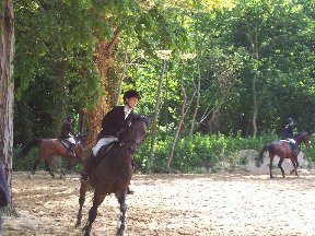 Foto zum Vergrößern bitte anklicken!