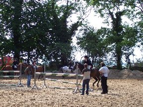 Foto zum Vergrößern bitte anklicken!