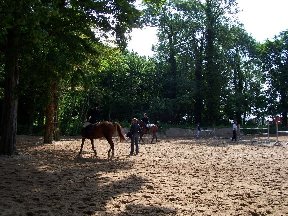 Foto zum Vergrößern bitte anklicken!