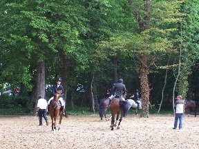 Foto zum Vergrößern bitte anklicken!