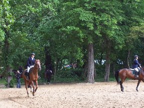 Foto zum Vergrößern bitte anklicken!