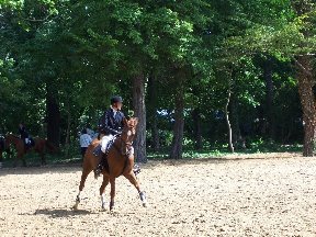 Foto zum Vergrößern bitte anklicken!