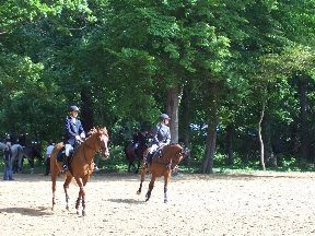 Foto zum Vergrößern bitte anklicken!