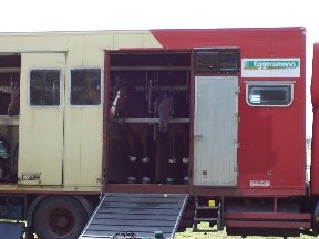 Foto zum Vergrößern bitte anklicken!