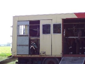 Foto zum Vergrößern bitte anklicken!