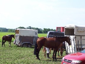 Foto zum Vergrößern bitte anklicken!