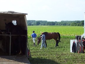 Foto zum Vergrößern bitte anklicken!