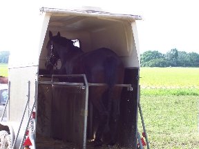 Foto zum Vergrößern bitte anklicken!