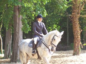 Foto zum Vergrößern bitte anklicken!