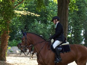 Foto zum Vergrößern bitte anklicken!