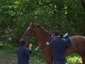 Foto zum Vergrößern bitte anklicken!