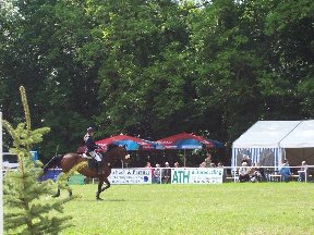 Foto zum Vergrößern bitte anklicken!