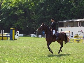 Foto zum Vergrößern bitte anklicken!