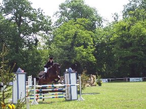 Foto zum Vergrößern bitte anklicken!