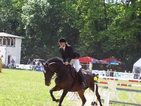 Foto zum Vergrößern bitte anklicken!