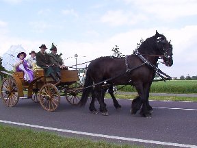 Foto zum Vergrößern bitte anklicken!