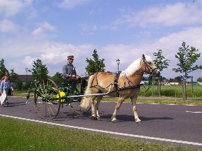 Foto zum Vergrößern bitte anklicken!
