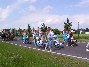 Foto zum Vergrößern bitte anklicken!