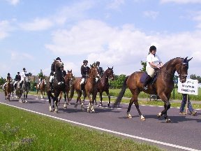 Foto zum Vergrößern bitte anklicken!
