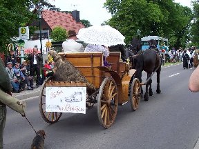 Foto zum Vergrößern bitte anklicken!