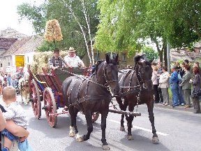 Foto zum Vergrößern bitte anklicken!