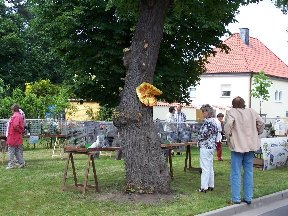 Foto zum Vergrößern bitte anklicken!