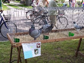 Foto zum Vergrößern bitte anklicken!