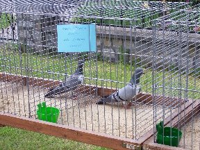 Foto zum Vergrößern bitte anklicken!