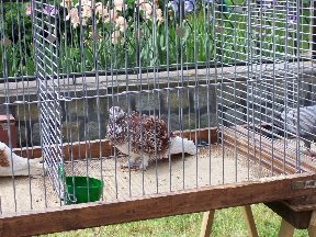 Foto zum Vergrößern bitte anklicken!