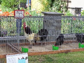 Foto zum Vergrößern bitte anklicken!