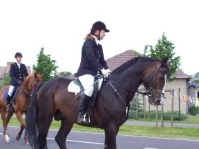 Foto zum Vergrößern bitte anklicken!