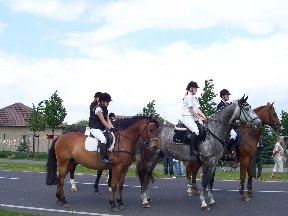 Foto zum Vergrößern bitte anklicken!