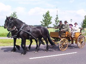 Foto zum Vergrößern bitte anklicken!