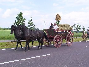 Foto zum Vergrößern bitte anklicken!