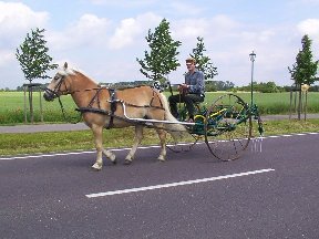 Foto zum Vergrößern bitte anklicken!
