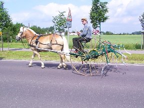 Foto zum Vergrößern bitte anklicken!