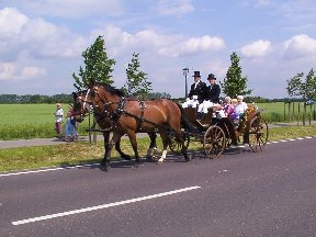 Foto zum Vergrößern bitte anklicken!