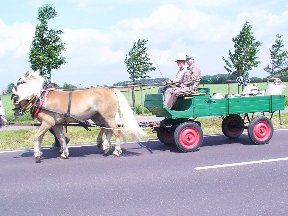 Foto zum Vergrößern bitte anklicken!