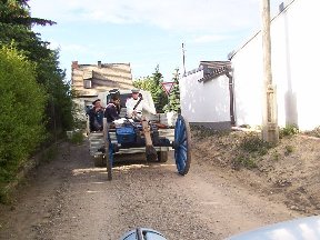 Foto zum Vergrößern bitte anklicken!